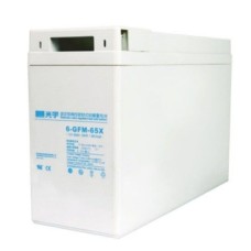 Аккумулятор Coslight 6-GFM-65X (12V / 65Ah)