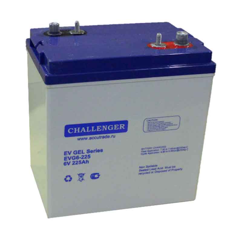 Аккумулятор тяговый Challenger EVG6-225 (6V / 215Ah C5) GEL