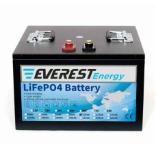 Аккумулятор тяговый Everest LFP-24V100Аh (24V / 100Ah C5) Li-Ion (LiFePo4)