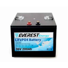 Аккумулятор тяговый Everest LFP-36V200Аh (36V / 200Ah C5) Li-Ion (LiFePo4)