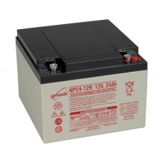 Аккумулятор Enersys Genesis NP24-12 (12V / 24Ah)