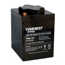 Аккумулятор тяговый Everest TNE 6-245 (6V / 200Ah C5) GEL