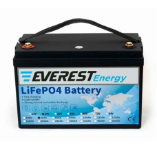 Аккумулятор тяговый Everest LFP-24V50Аh (24V / 50Ah C5) Li-Ion (LiFePo4)