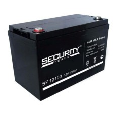 Аккумулятор Security Force SF 12100 (12V / 100Ah)