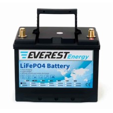 Аккумулятор тяговый Everest LFP-24V40Аh (24V / 40Ah C5) Li-Ion (LiFePo4)