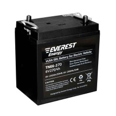 Аккумулятор тяговый Everest TNE 6-270 (6V / 235Ah C5) GEL