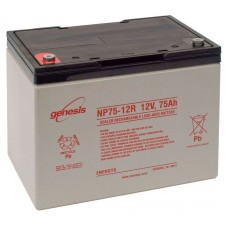 Аккумулятор Enersys Genesis NP75-12 (12V / 75Ah)