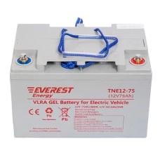 Аккумулятор тяговый Everest TNE 12-75 (12V / 66Ah C5) GEL