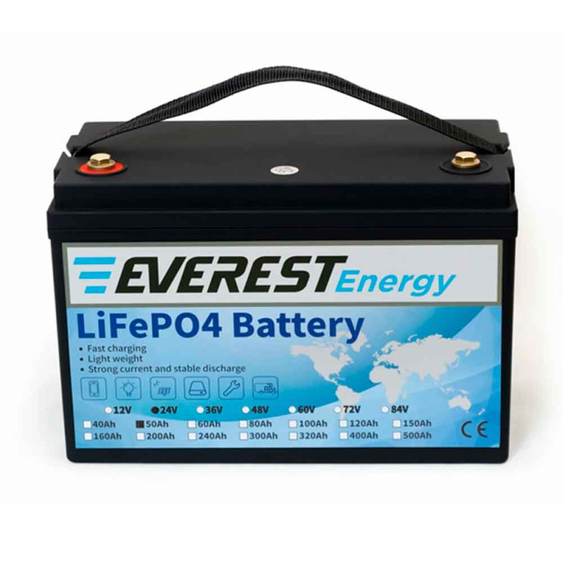 Аккумулятор тяговый Everest LFP-24V50Аh (24V / 50Ah C5) Li-Ion (LiFePo4)