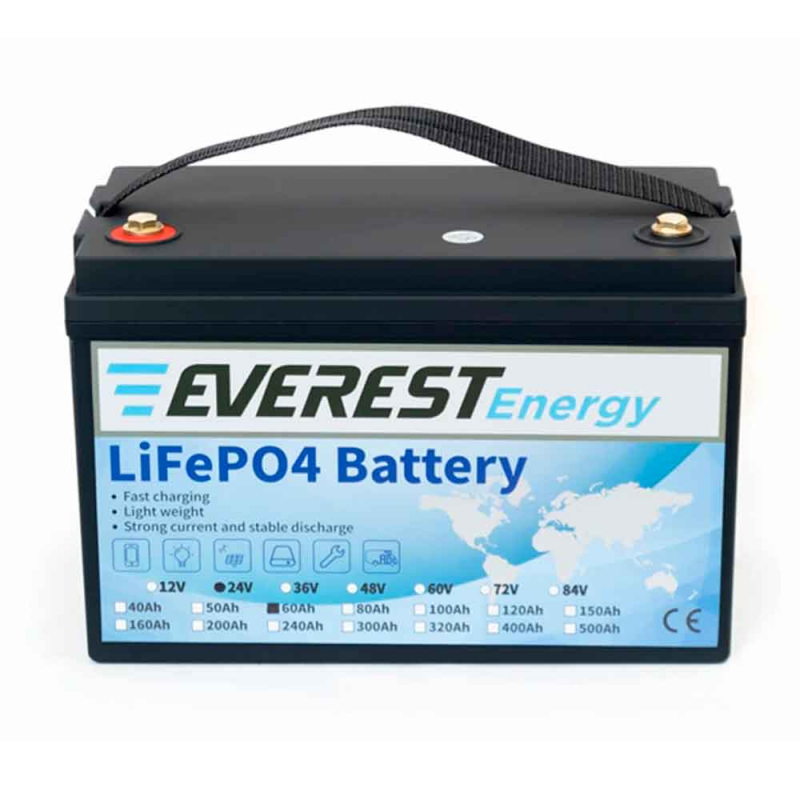 Аккумулятор тяговый Everest LFP-24V60Аh (24V / 60Ah C5) Li-Ion (LiFePo4)