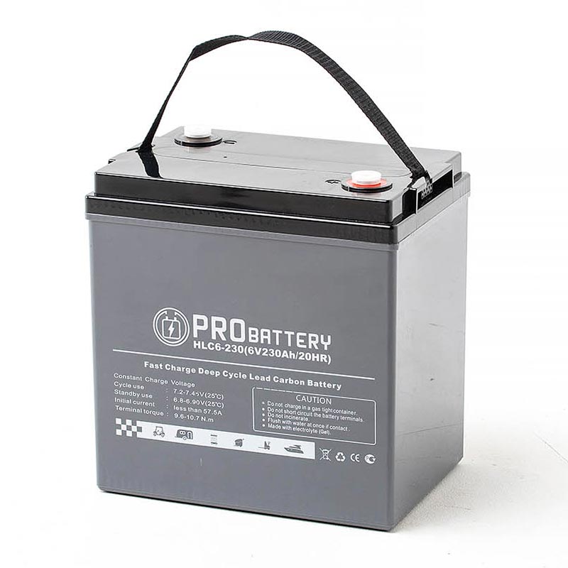 Аккумулятор тяговый PROBATTERY HLC6-230 (6V / 198Ah C5) GEL