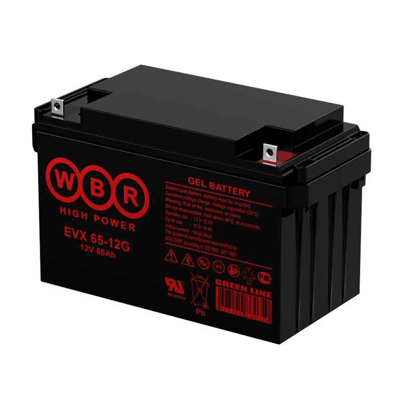 Аккумулятор тяговый WBR EVX65-12G (12V / 55.3Ah C5) GEL