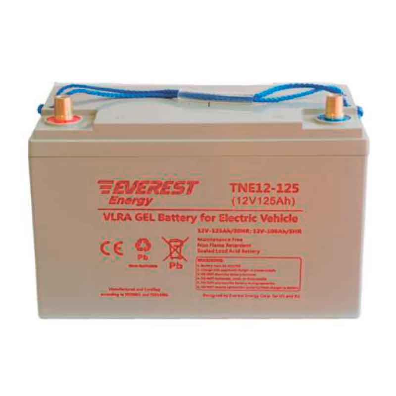 Аккумулятор тяговый Everest TNE 12-125 (12V / 106Ah C5) GEL