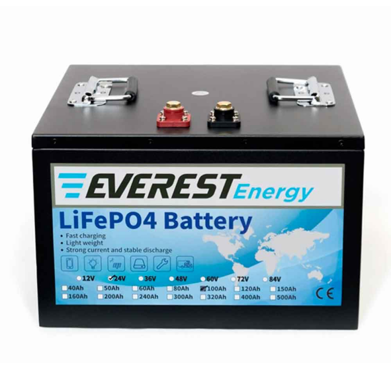 Аккумулятор тяговый Everest LFP-24V100Аh (24V / 100Ah C5) Li-Ion (LiFePo4)